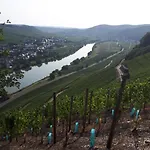 珠佛全景旅馆 3* 布劳讷贝格