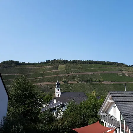 Gaestehaus Jufferpanorama בית הארחה