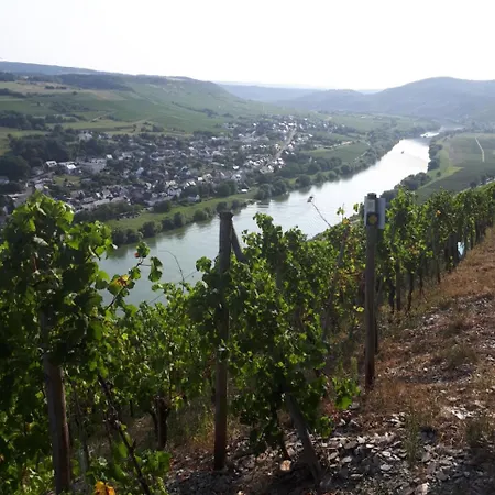 Gaestehaus Jufferpanorama 3*