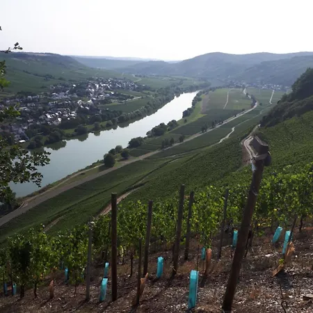 Gaestehaus Jufferpanorama * Brauneberg