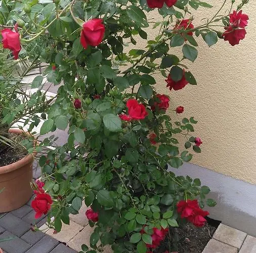 Gaestehaus Jufferpanorama