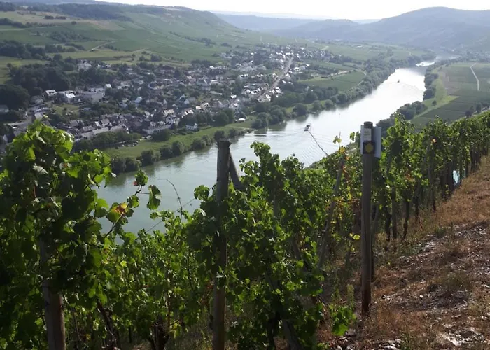 Gaestehaus Jufferpanorama 3*