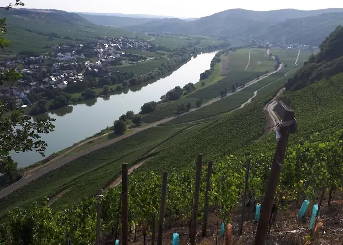 Gaestehaus Jufferpanorama 3* Brauneberg